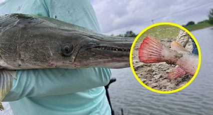 Catán rosado es atrapado en río de Texas; pescador libera al monstruo