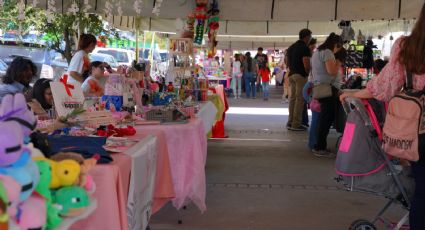 Parque Viveros se llena de color con el Bazar Summer: todo listo para apoyar a emprendedores