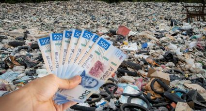 ¿De cuánto es la multa por tirar basura en la calle en 2025?; incluso podrías ser arrestado