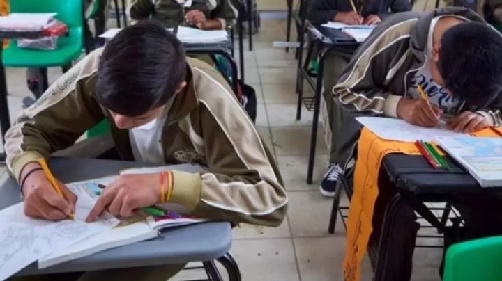 ¿Cómo le fue a tu hijo en este ciclo escolar?; así podrás revisar la boleta de calificaciones
