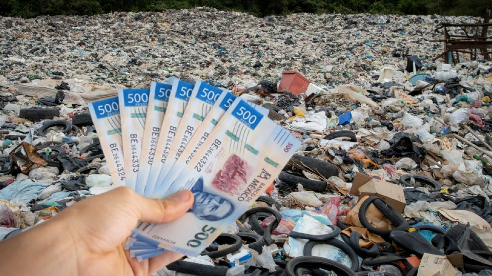 Esta es la multa por tirar basura en la calle en 2025