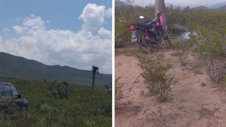 Mueren Óscar y María abrazados bajo una palmera; rayo cae sobre la enorme planta