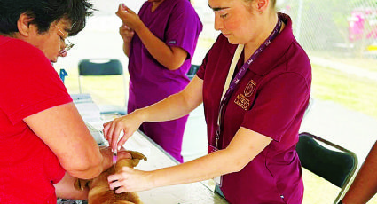 Evita esterilización 16 mil callejeritos en Nuevo Laredo