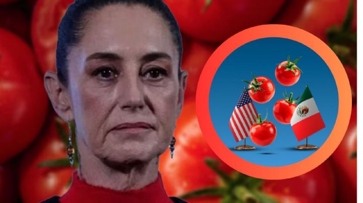 'El jitomate mexicano va a seguir exportándose': Sheinbaum anuncia plan contra arancel antidumping