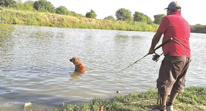Bajan muertes en el río Bravo; piden a ciudadanos no introducirse