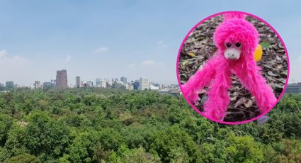 Uno de los parques más grandes del mundo está en México; mide el doble que Central Park