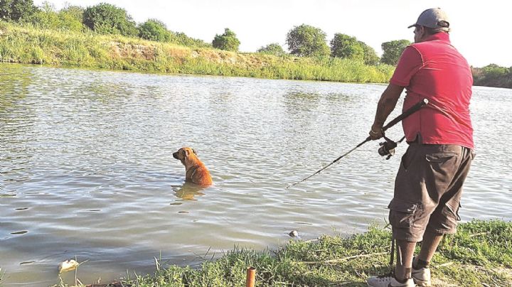 Bajan muertes en el río Bravo; piden a ciudadanos no introducirse