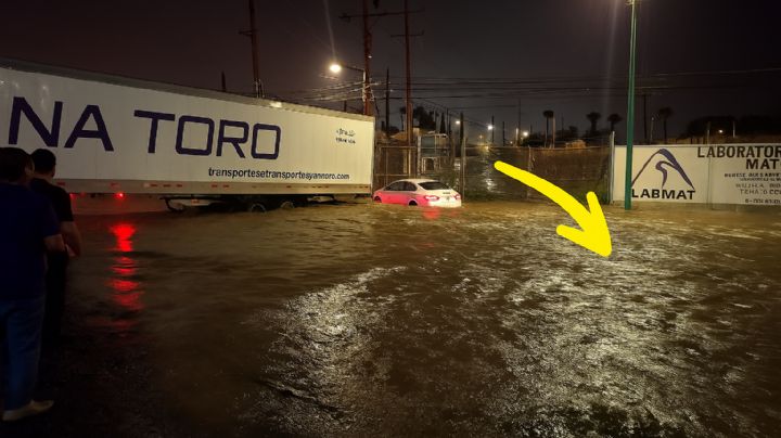 Trailero se convierte en héroe; así salvó a una familia de morir ahogada | VIDEO
