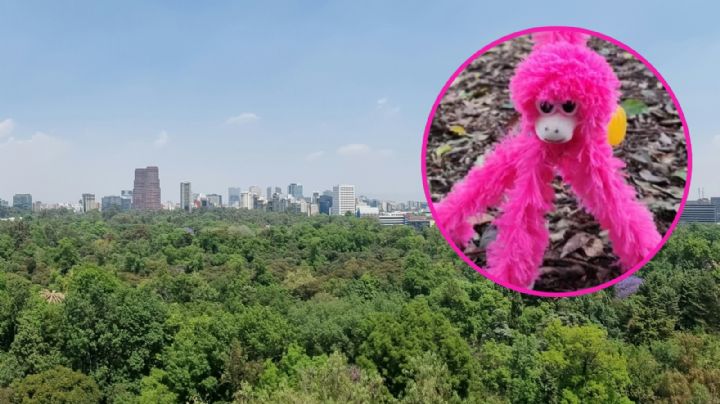 Uno de los parques más grandes del mundo está en México; mide el doble que Central Park