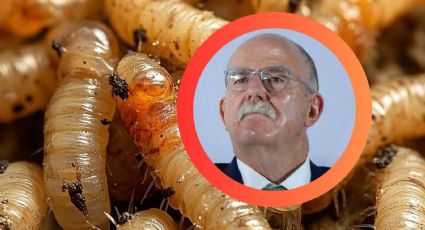 'No tomen a México como piñata': Berdegué pide respeto en control del gusano barrenador con EU