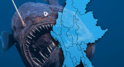 Peligroso pez llega a ríos y presas de Nuevo León; es una plaga invasora
