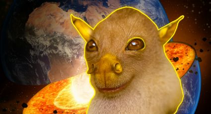 Estos cuatro animales mexicanos son tan extraños y poco conocidos que parecen de otro planeta