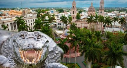 Cocodrilos 'invaden' Tamaulipas: reptiles se han convertido en un serio problema en el estado