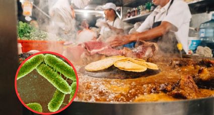 Alertan por presencia de bacterias fecales en taquerías; el problema está en sus salsas