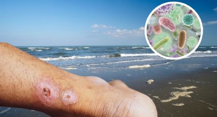 Cofepris: estas son las 17 playas más contaminadas, no aptas para estas vacaciones de verano 2025
