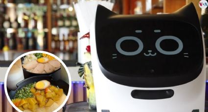 Misu, la gatita robot que te sirve tu comida en Escobedo; se puede comunicar con los clientes | VIDEO