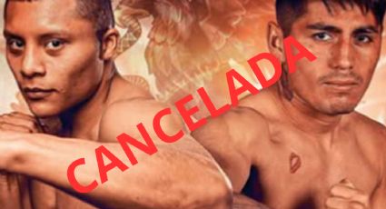 Cancelan revancha Pitbull Cruz vs Ángel Fierro
