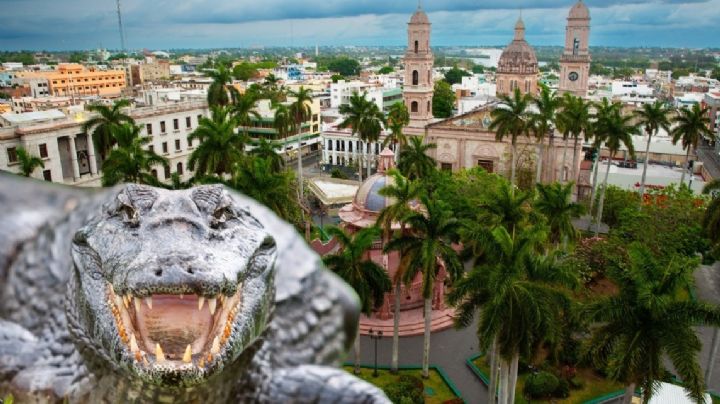 Cocodrilos 'invaden' Tamaulipas: reptiles se han convertido en un serio problema en el estado