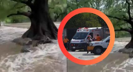 Niño y su perrito escapan de morir ahogados en Nuevo León; el rescate termina en mordida | VIDEO