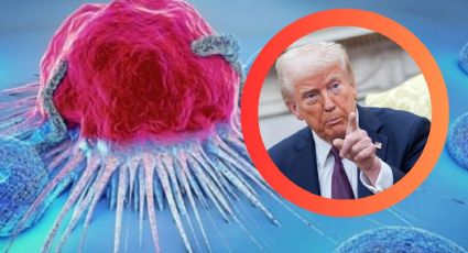Esta medida de Trump podría provocar 14 millones de muertes de aquí al 2030, según un informe