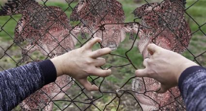 Así es por dentro 'Alcatraz Alligator', la nueva cárcel para detener a migrantes | VIDEO