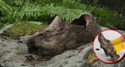¿Zapatos de tierra?, polémico artículo se vende en miles de dólares | VIDEO