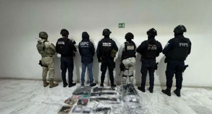 Gabinete de Seguridad asegura metanfetamina y cocaína en Coahuila y Nuevo León