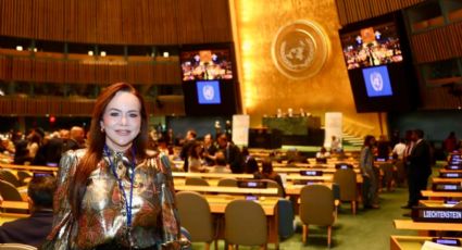 Carmen Lilia Canturosas representa a México en Foro Político de la ONU