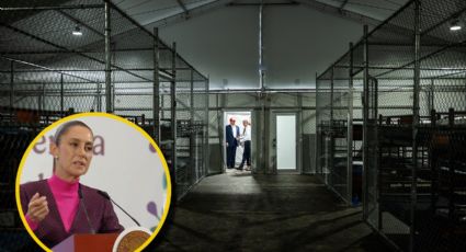 Sheinbaum confirma a 14 mexicanos detenidos en 'Alligator Alcatraz'; exige repatriación inmediata