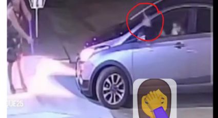 Mujer encuentra 'escalofriante animal' en la entrada de su casa, pide ayuda y las cosas salen mal