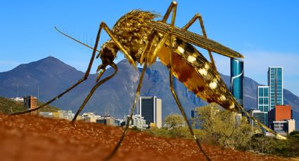 El dengue ya cobró su primera víctima en Nuevo León en 2025