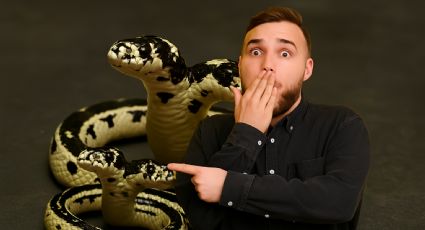 Esta serpiente con dos cabezas desafía la naturaleza y sobrevive contra todo pronóstico | FOTOS