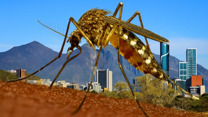 El dengue ya cobró su primera víctima en Nuevo León en 2025