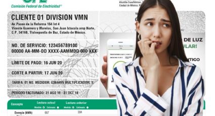 CFE: ¿a partir de cuántos recibos sin pagar la Comisión te corta la luz?