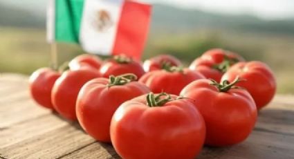 Estos son los 3 jitomates mexicanos más consumidos en Estados Unidos; no los detiene ni los aranceles