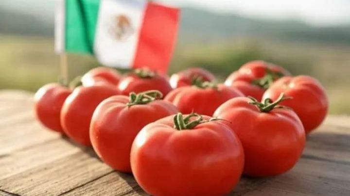 Estos son los 3 jitomates mexicanos más consumidos en Estados Unidos; no los detiene ni los aranceles