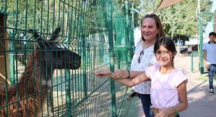 Zoológico de Nuevo Laredo abre sus puertas con actividades para todas las edades