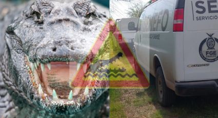 Hombre muere tras ser atacado por caimán; casi le arranca la pierna