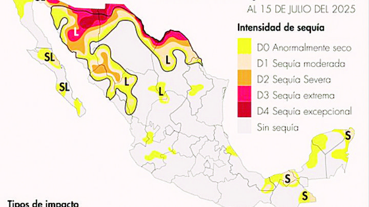 Sacan lluvias de la sequía a medio país
