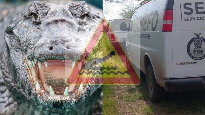 Hombre muere tras ser atacado por caimán; casi le arranca la pierna