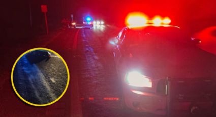 Tamaulipas: hombre es aplastado por tráiler; sus restos quedaron en la carretera
