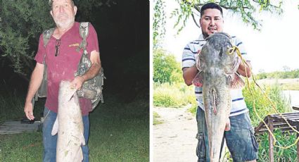 Pescadores aprovechan lluvias y atrapan 'monstruos' en el río Bravo