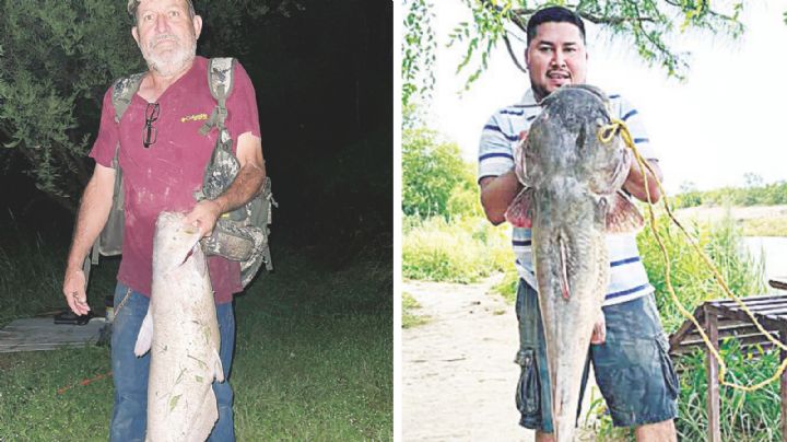 Pescadores aprovechan lluvias y atrapan 'monstruos' en el río Bravo