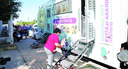 Nuevo Laredo: suman mil cirugías gratuitas para perros y gatos