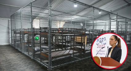 Repatriación urgente: 30 mexicanos detenidos en Alligator Alcatraz, confirma Sheinbaum