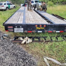 Cruces de indocumentados son más riesgosos; 'coyotes' ponen sus vidas en peligro