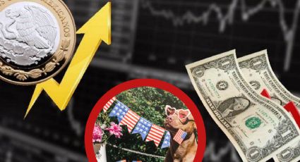 Peso mexicano le da su 4 de julio al dólar: tipo de cambio HOY