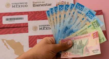 Estos son los cuatro programas del Bienestar que tendrán registro en agosto 2025