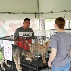 Perros y gatos rescatados 'estrenan' hogar en Nuevo Laredo