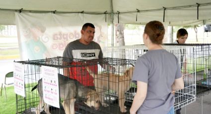 Perros y gatos rescatados 'estrenan' hogar en Nuevo Laredo